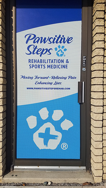 Southeast MI Electrical Stimulation for Pets  Pawsitive Steps  Rehabilitation & Therapy for Pets, Troy MI