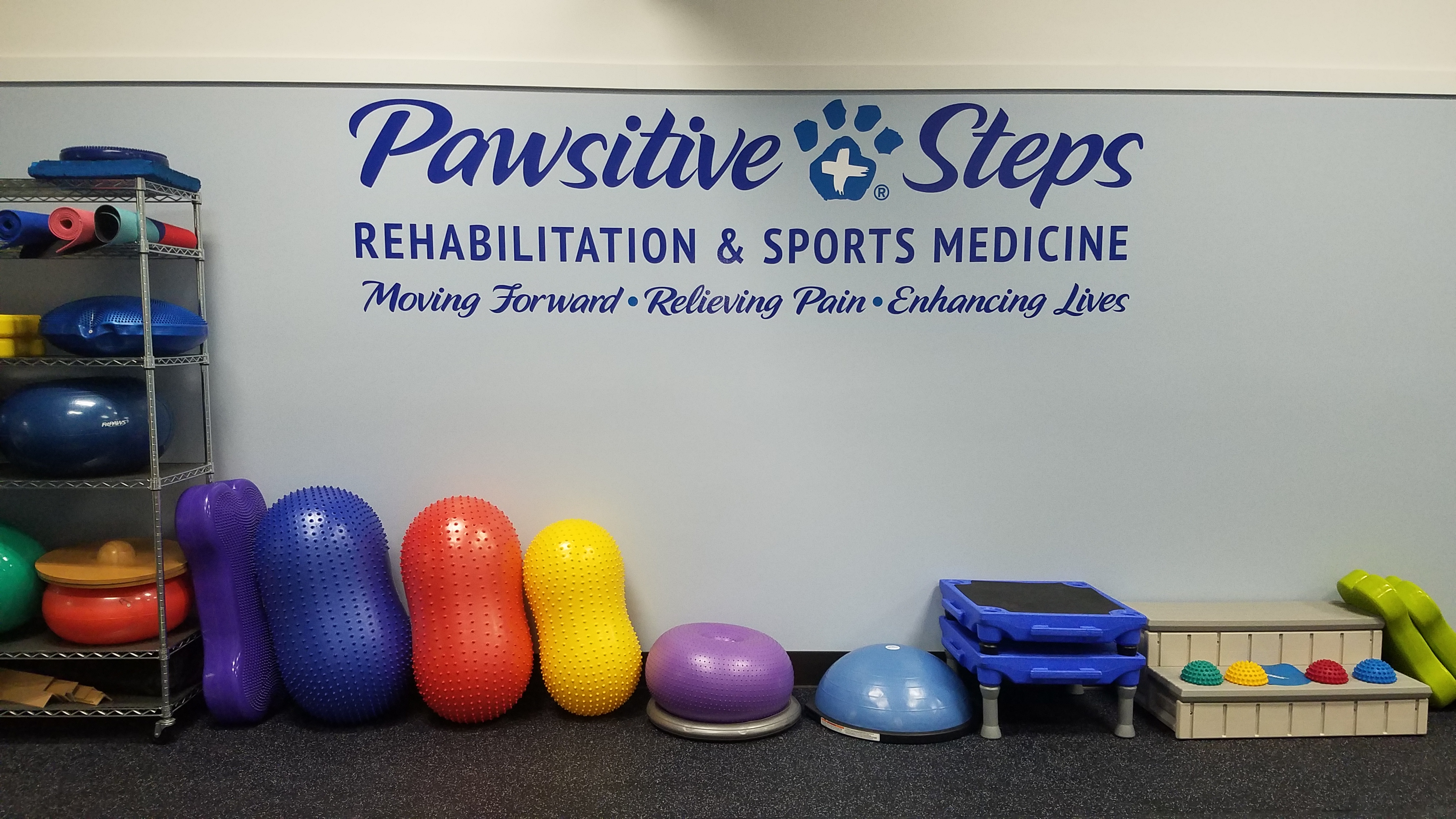 Nose Work  Pawsitive Steps Rehabilitation & Therapy for Pets, Troy MI
